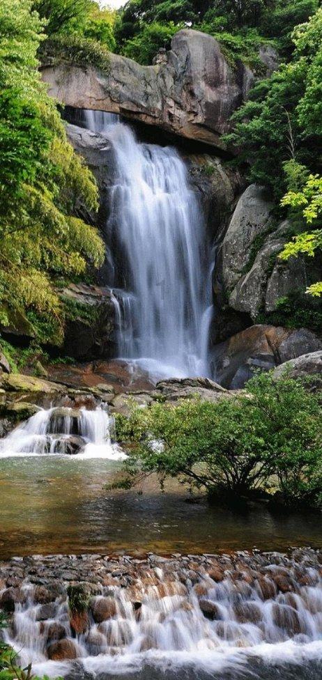 韩媒评曼奇尼:耻辱提前离场,没有2800万美元年薪教练的样子
